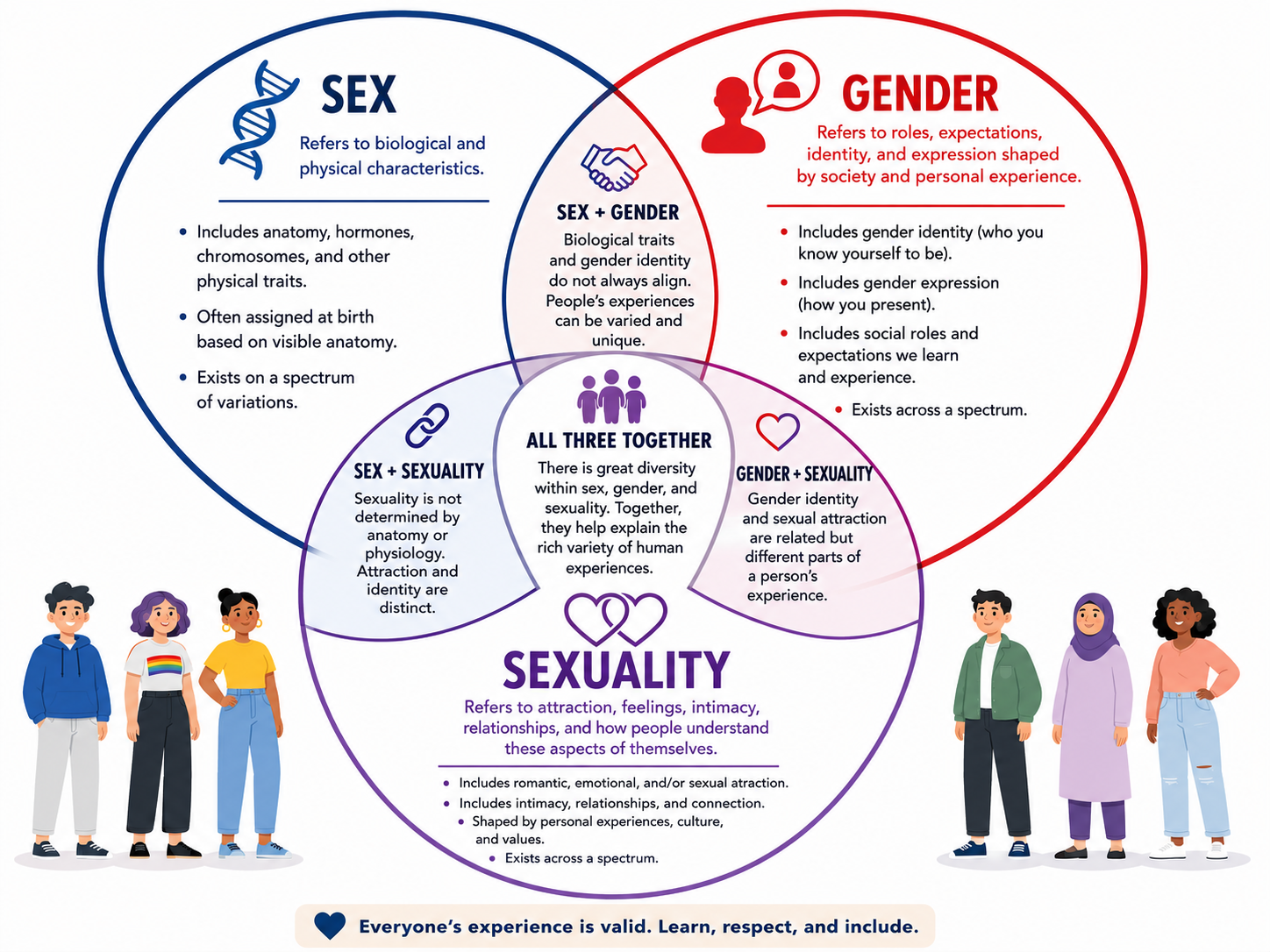Illustrated Venn diagram explaining sex, gender, and sexuality